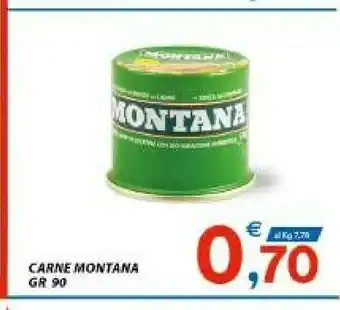 Vivo Supermercati Montana Carne offerta