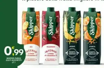 Vivo Supermercati Zuegg ACE Skipper 1000 G(ml) offerta