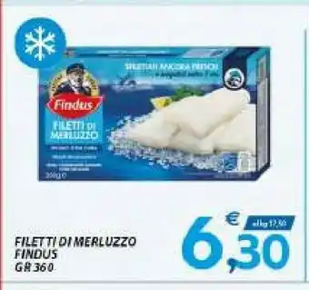 Vivo Supermercati Findus Filetti Di Merluzzo offerta