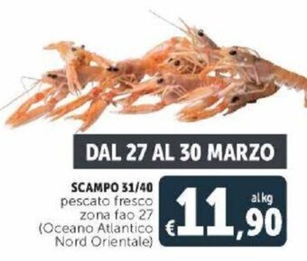 Deco Supermercati Scampo 31/40 pescato fresco zona fao 27 offerta