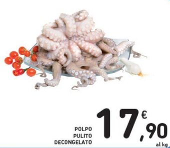 Conad Polpo Pulito Decongelato offerta