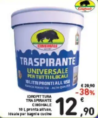 Conad Idropittura Tra Spirante Cinghiale 10 l offerta