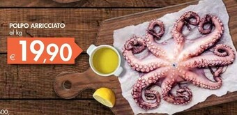 Bennet Polpo Arricciato offerta