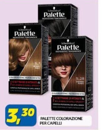 Palette Colorazione Per Capelli