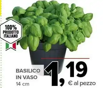 Todis Basilico In Vaso offerta