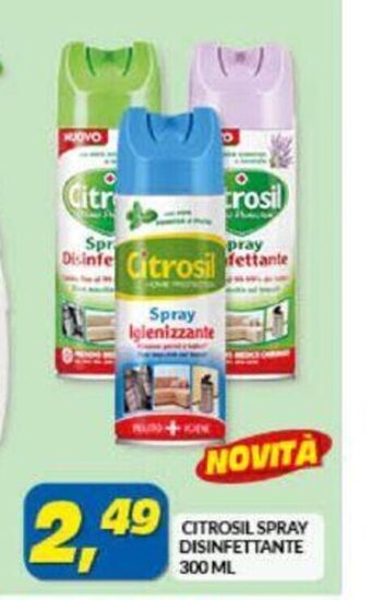 Citrosil Spray Disinfettante 300 ml
