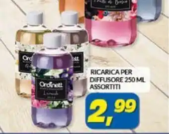 Risparmio Casa Ricarica Per Diffusore 250 ML Assortiti offerta