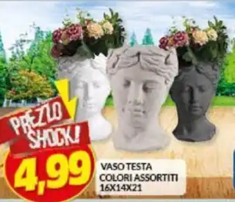 Vaso Testa Colori Assortiti 16 x 14 x 21