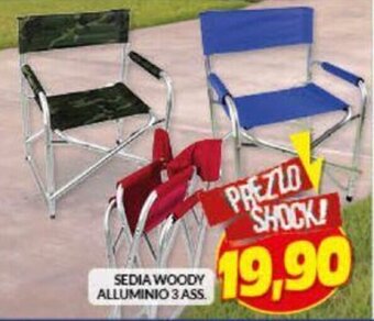 Risparmio Casa Sedia Woody Alluminio 3 Ass offerta