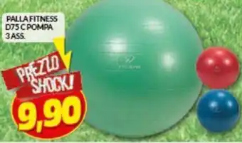 Palla Fitness D 75 C Pompa 3 Ass
