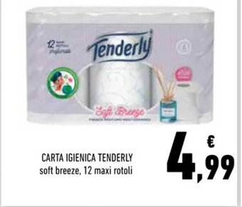 Conad Tenderly Carta Igienica 12 maxi rotoli offerta