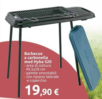 Carrefour Barbecue a carbonella offerta