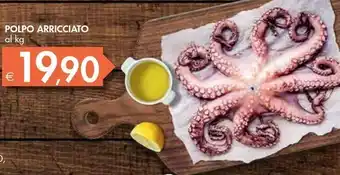 Bennet Polpo offerta