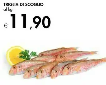 Bennet Pesce offerta