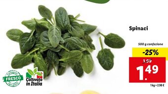 Lidl Spinaci 500 g confezione offerta