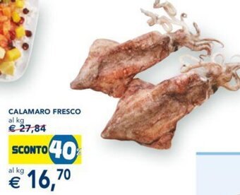 Esselunga Calamaro fresco offerta