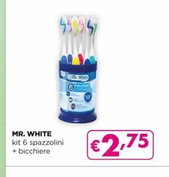 Acqua & Sapone Kit 6 spazzolini + bicchiere mr. white offerta