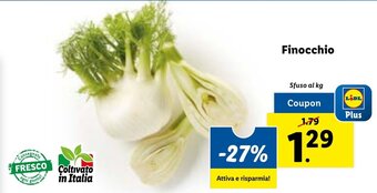 Lidl Finocchio offerta