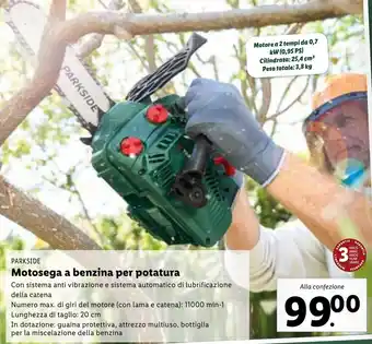 Lidl Parkside Motosega A Benzina Per Potatura offerta