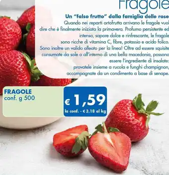 MD Discount Fragole conf. g 500 offerta