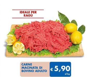 MD Discount Carne Macinata di Bovino Adulto offerta