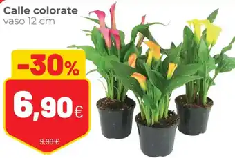 Coop Calle Colorate Vaso 12 cm offerta