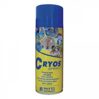 Phyto performance - ghiaccio spray