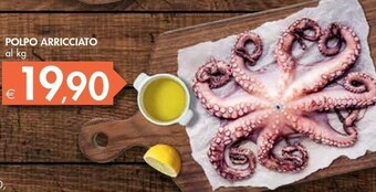 Bennet Polpo Arricciato offerta