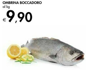 Ombrina Boccadoro