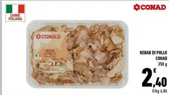 Kebab Di Pollo