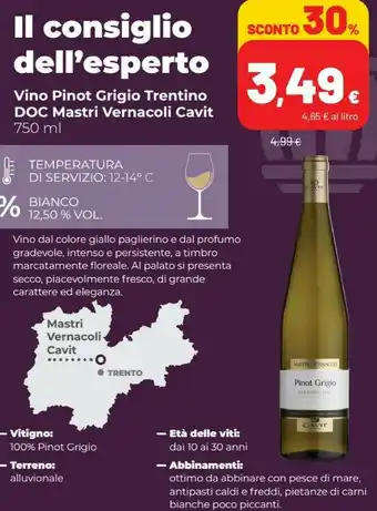 Coop Cavit Pinot Grigio 750ml offerta