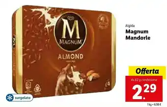Lidl Algida Magnum Almond offerta