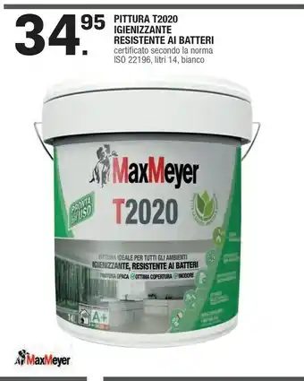 Maxmeyer T 2020 4L 4L