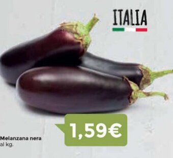 Eurospar Melanzana nera offerta