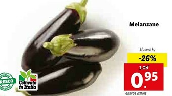 Lidl Melanzane offerta