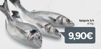 Eurospar Spigola 3/4 offerta