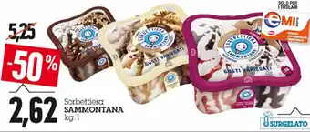 Emi Supermercati Sammontana Sorbettiera 1kg offerta