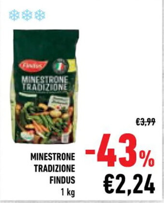 Conad Findus Minestrone Tradizione 1 kg offerta