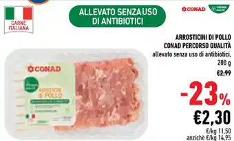 Conad Conad Arrosticini di pollo Percorso Qualità 200 g offerta