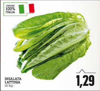 Emi Supermercati Insalata Lattuga offerta