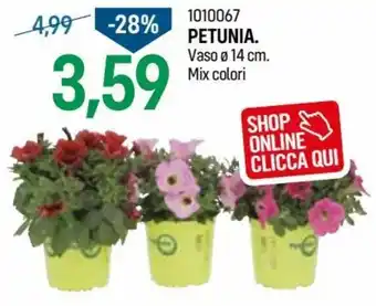 Cfadda Petunia vaso Ø 14 cm offerta