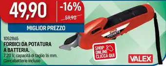 Valex Forbici da Potatura a Batteria