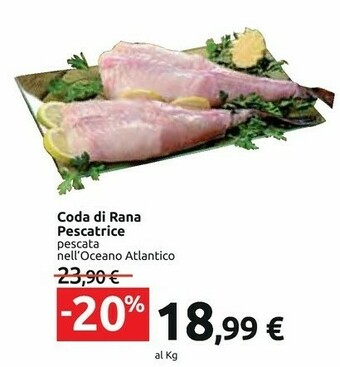 Carrefour Coda Di Rana Pescatrice Pescata Nell'oceano Atlantico offerta
