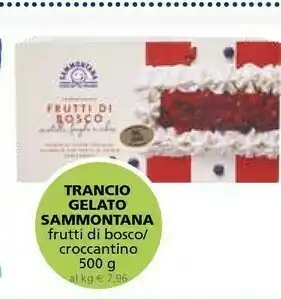 Il Gigante Sammontana Trancio Gelato offerta