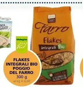 Il Gigante Poggio Del Farro Flakes Integrali Bio offerta