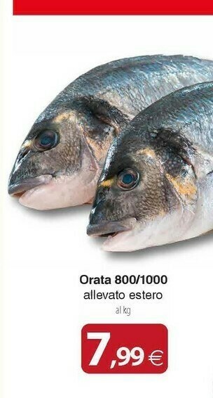 Docks Cash&Carry Orata offerta
