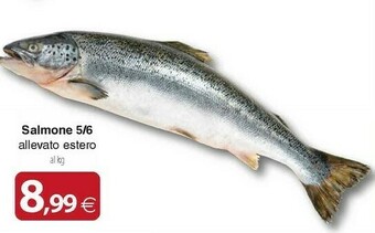 Docks Cash&Carry Salmone offerta