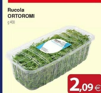 Docks Cash&Carry Ortoromi Insalata offerta