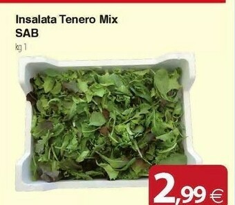Docks Cash&Carry Sab Insalata offerta