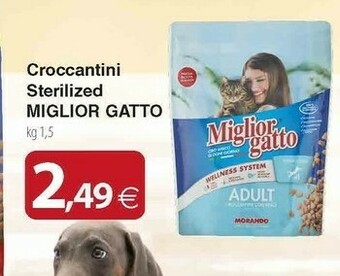 Docks Cash&Carry Cibo per gatti offerta